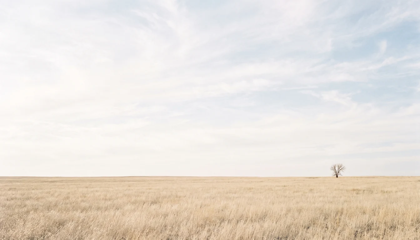 A wide empty field of pale dry grass under an enormous bright sky, one bare tree far off to one side