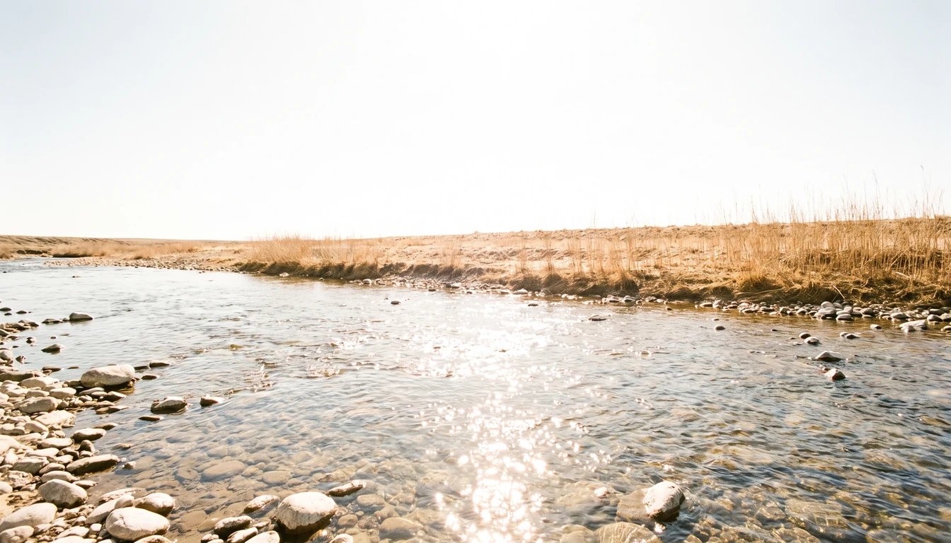 A wide shallow river running over pale stones in strong late-morning light, dry reeds on the far bank